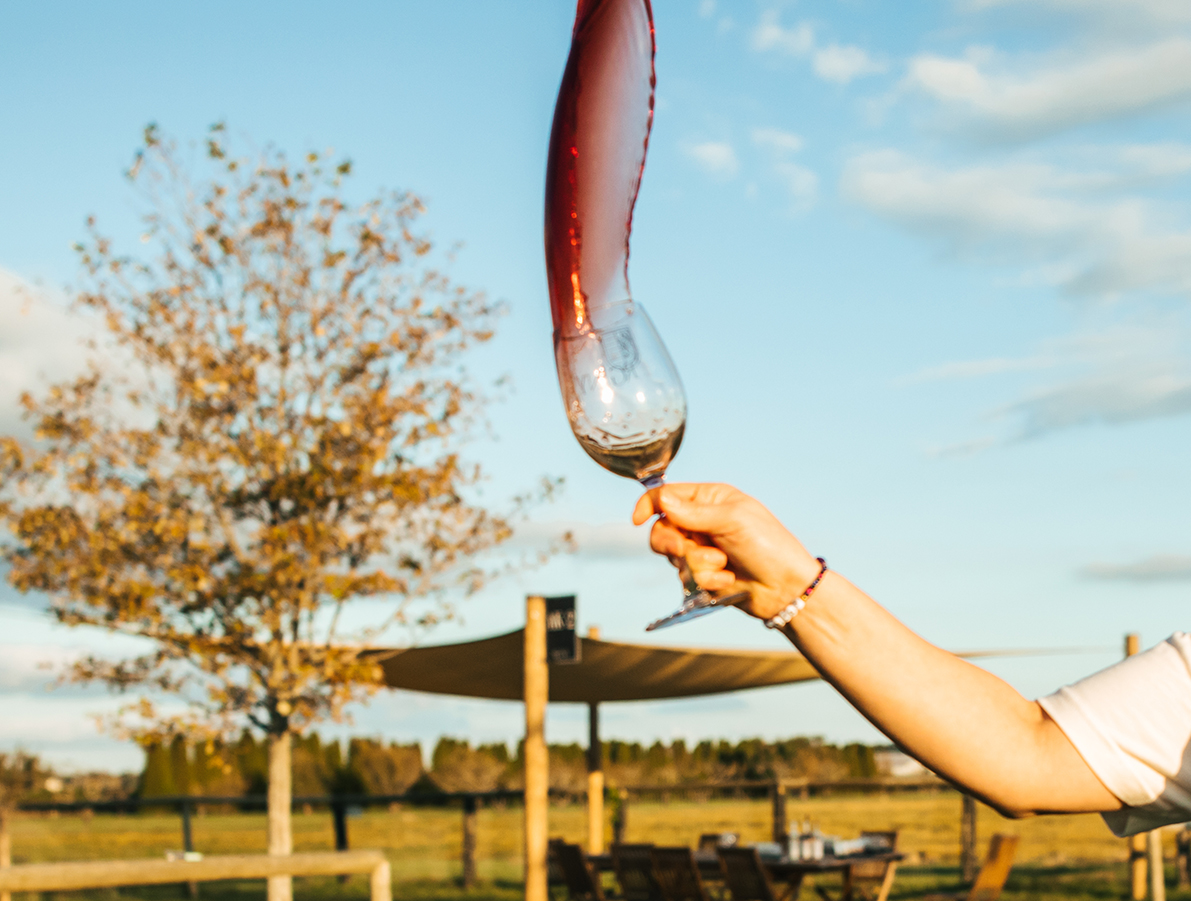 Wine Tossing